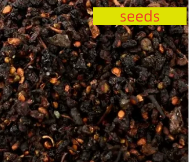 🍇 Black Mulberry Seeds ✨ Fast Growing Easy Care, High Yield Edible Fruit Tree