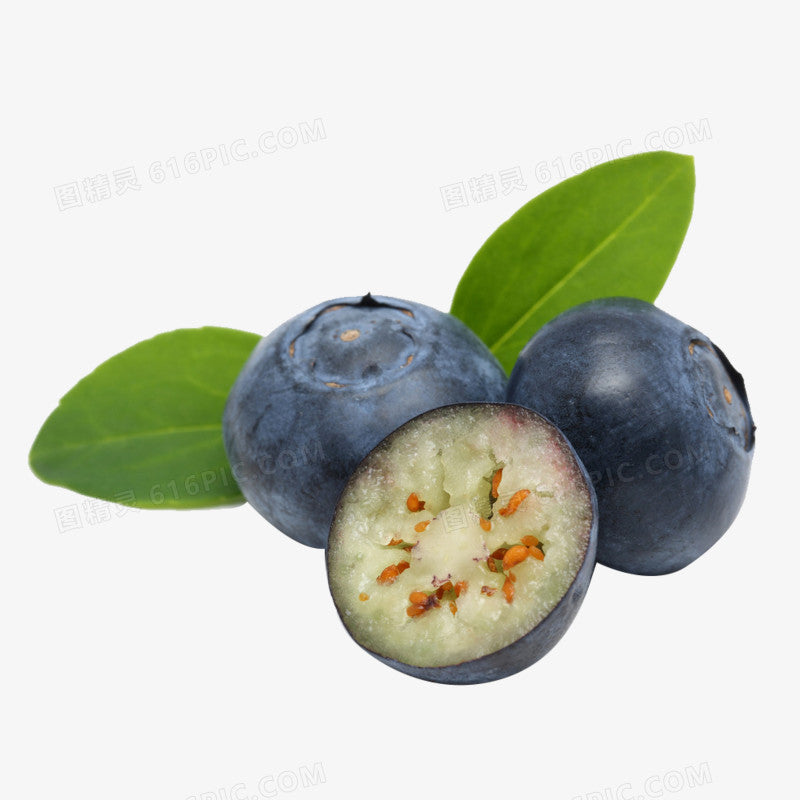 🫐 Sweet Blueberry Seeds | Easy to Grow